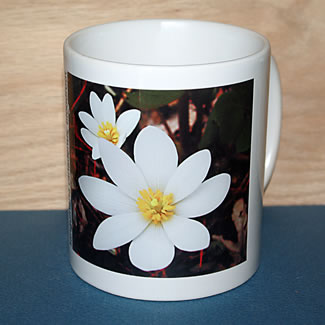 mug DS-047 6746.jpg